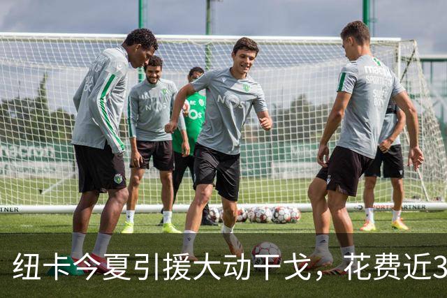 纽卡今夏引援大动干戈，花费近3亿却仅净增2500万英镑